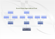 Summit Sales Organizational Charts