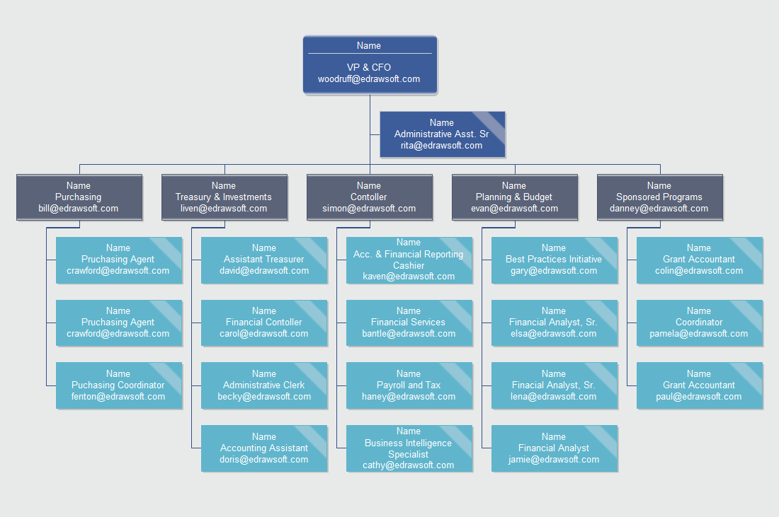 Business Intelligence Organizational Chart