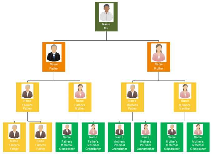 Comercial company functional org chart
