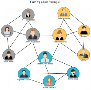 non-hierarchical-org-chart-example