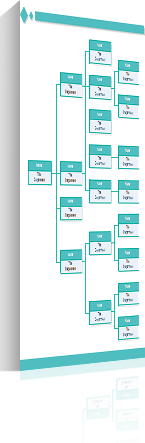 Org Chart Small 3