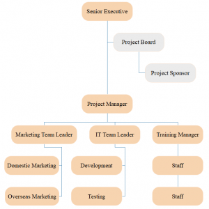project management organizational chart