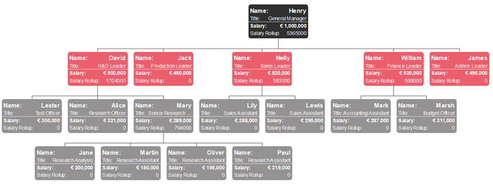 salary organizational chart example
