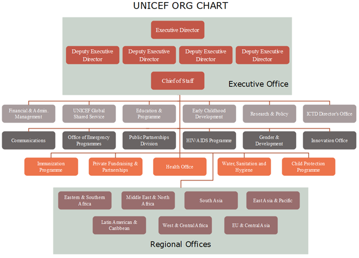 unicef org chart
