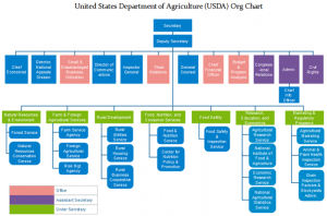 usda-org-chart-template